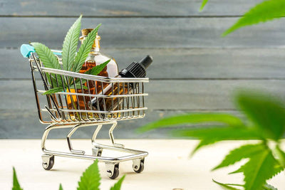 How to Make Money Selling CBD Living Products?
