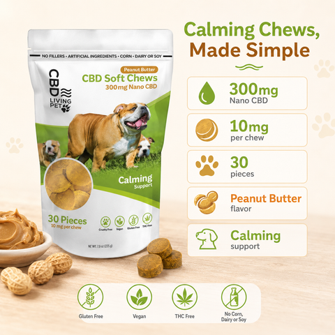 CBD Living Dog Chews Calming Peanut Butter lifestyle