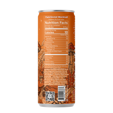 Melting Forest Functional Mushroom Mocktails — Master Case (6 x 4-packs)