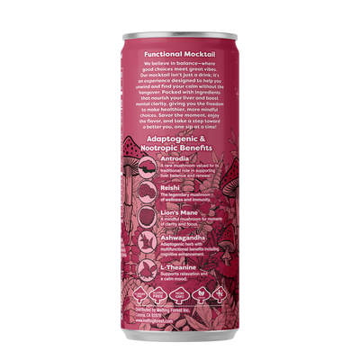 Melting Forest Functional Mushroom Mocktails — Master Case (6 x 4-packs)