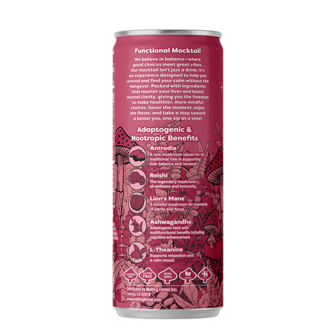 Melting Forest Functional Mushroom Mocktails — Master Case (6 x 4-packs)