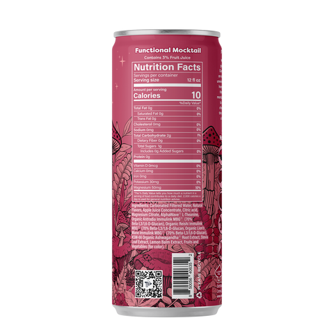 Melting Forest Functional Mushroom Mocktails — Master Case (6 x 4-packs)