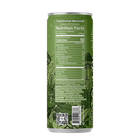 Melting Forest Functional Mushroom Mocktails — Master Case (6 x 4-packs)