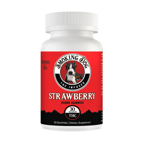 Smoking Dog CBD + THC Gummies